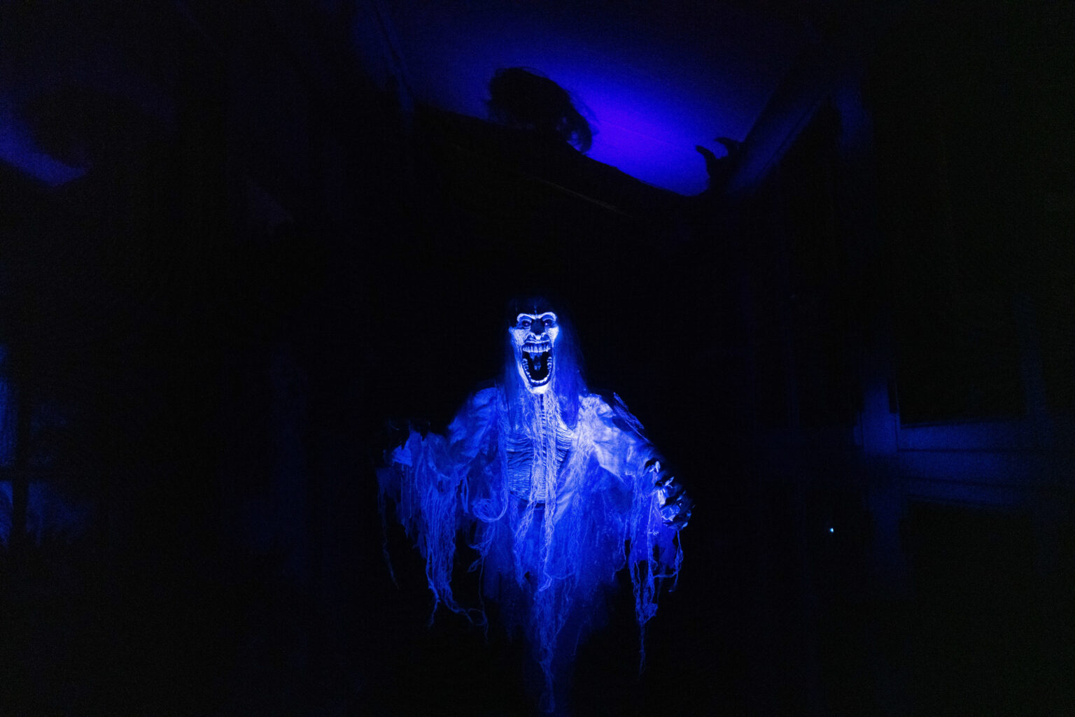 Top Halloween haunts of the Bay Area have new tricks (and treats) for