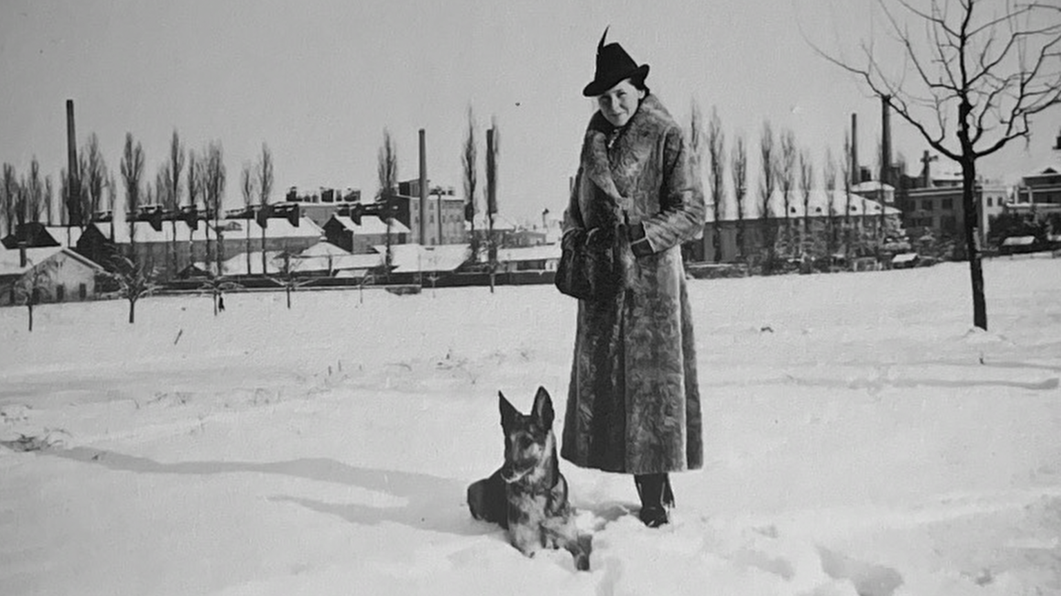 Review Netflix’s ‘Gunther’s Millions’ brings mental health research