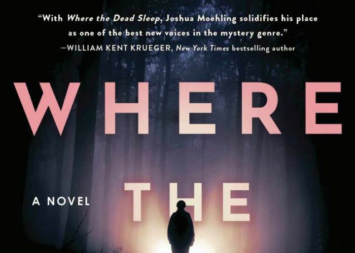 Review Smalltown politics and big family drama drive crime thriller