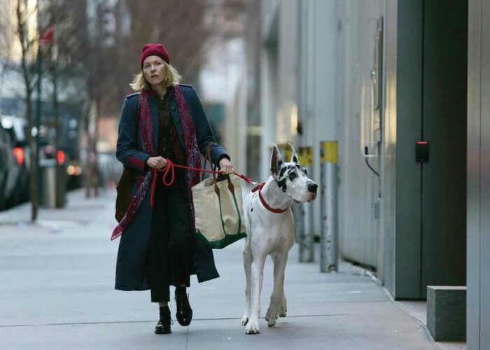 'The Friend' review: Naomi Watts and a Great Dane bond in grief-driven drama