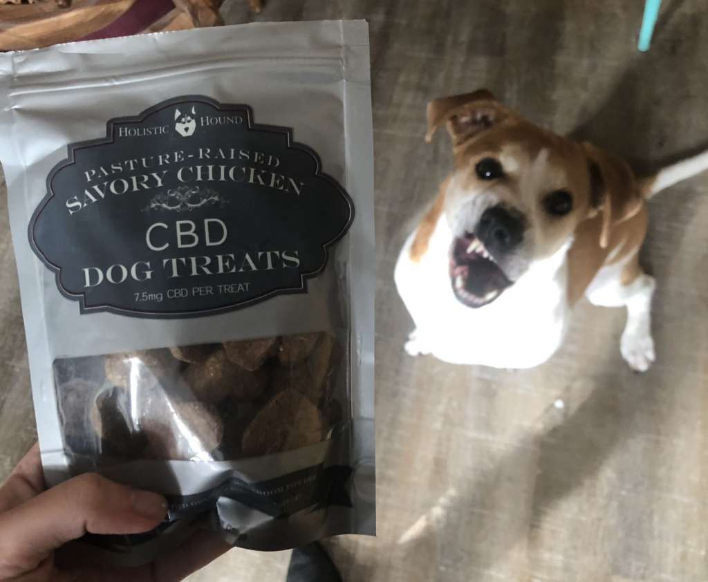 This is what happens when you eat your dog's CBD treats GreenState