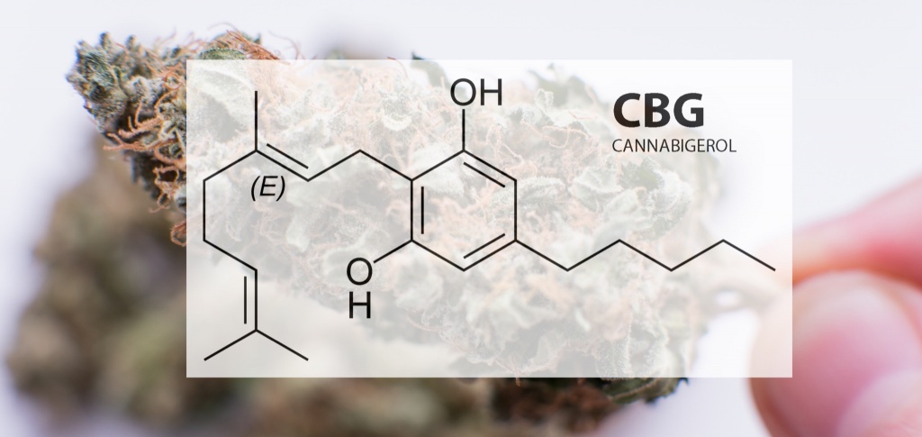what is CBG good for