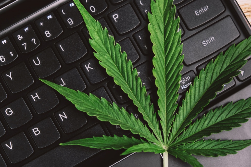 Cannabis leaf on keyboard weed in the workplace