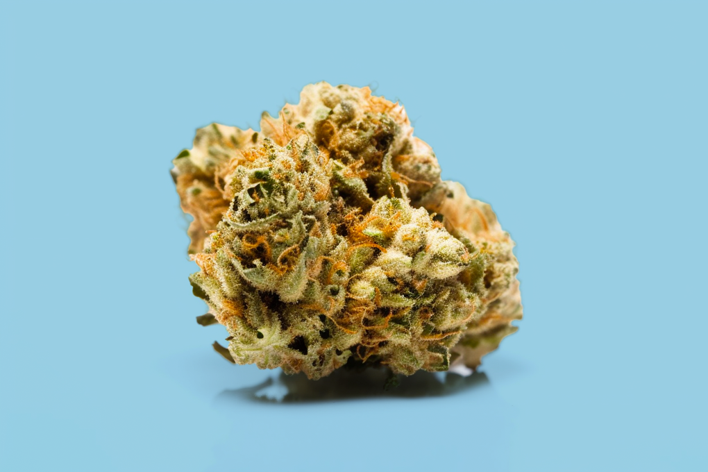 Sugar Queen strain review GreenState GreenState