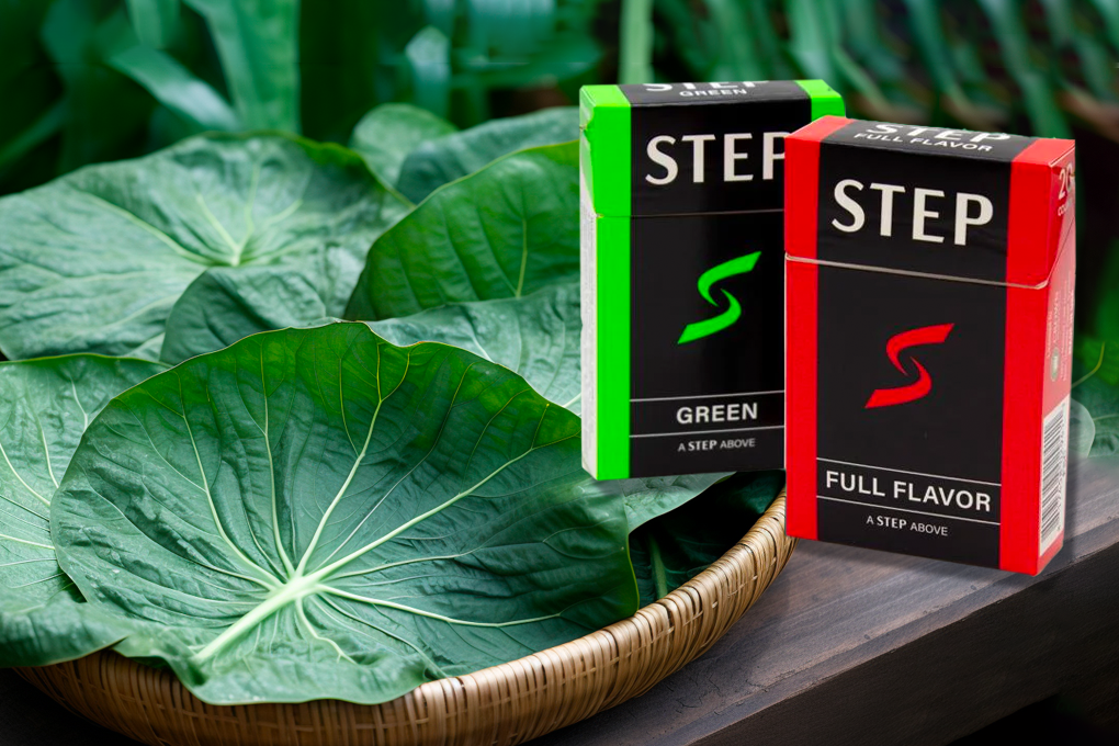 BestHerbalCigarettes3 GreenState GreenState