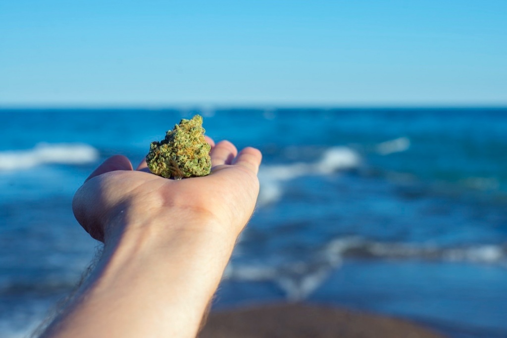 Cannabis etiquette beach: Hand holds cannabis nug in front of ocean