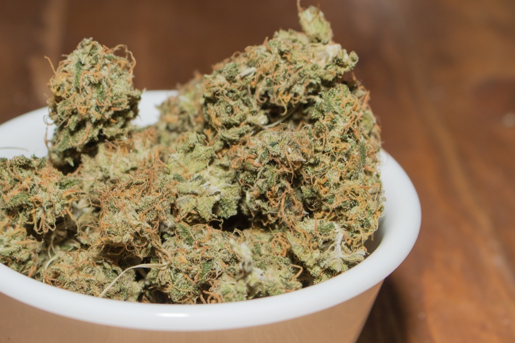 cereal milk strain - a bowl of cannabis nugs