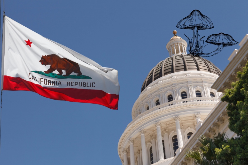california psychedelics bill passes at state capitol