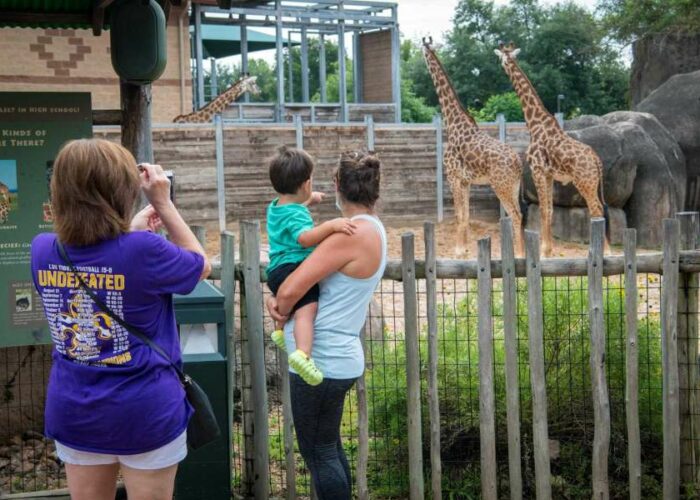 People (and animals) are happy Houston Zoo is open again Datebook