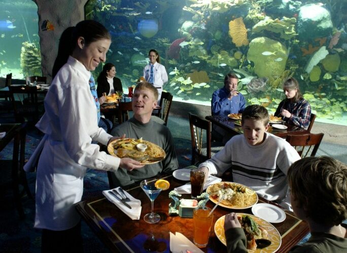 Downtown Aquarium Houston Restaurant Weeks at Downtown Aquarium Datebook