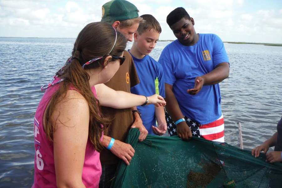 Shark Week Real Fish Dissection At Houston Summer Science Camps Datebook
