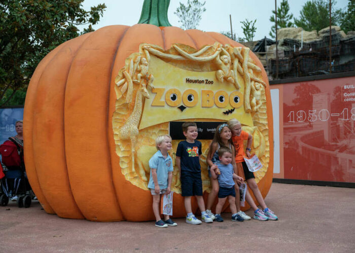 Houston Zoo, The MKT, Color Factory scare up family Halloween events