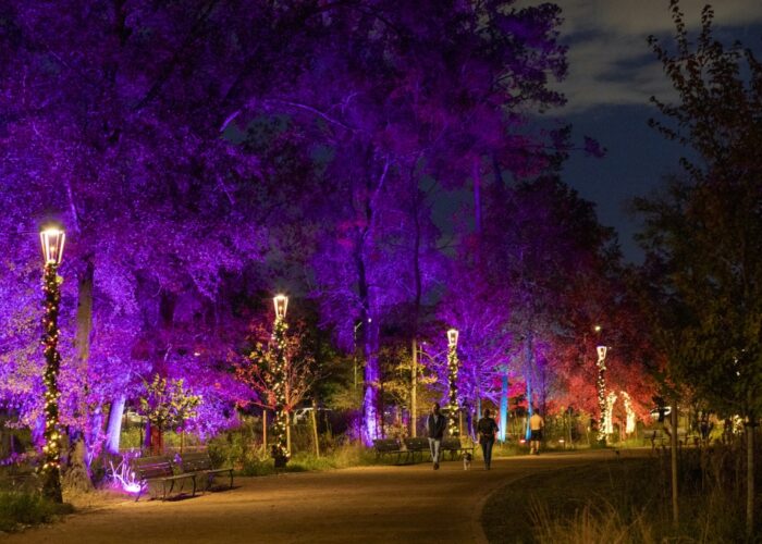 Holiday Lights in Memorial Park's Eastern Glades at Clay Family Eastern