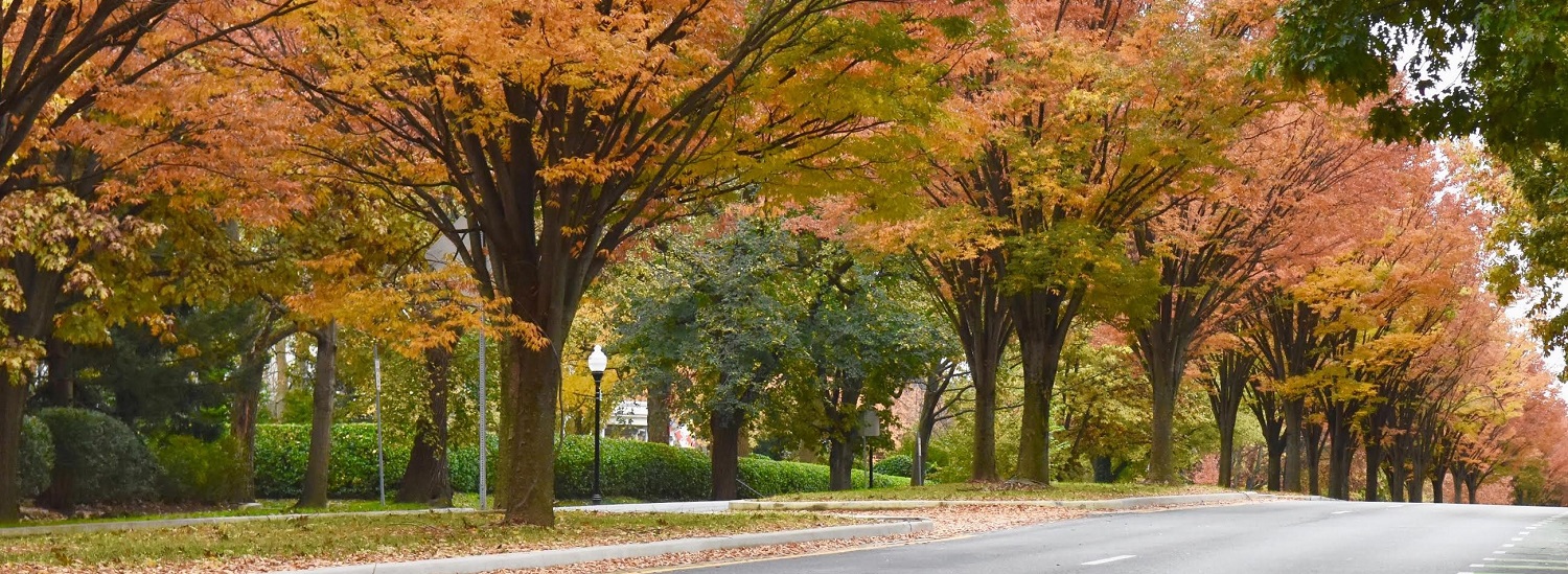 Roland Park Civic League Baltimore, MD