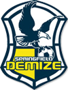 Demize