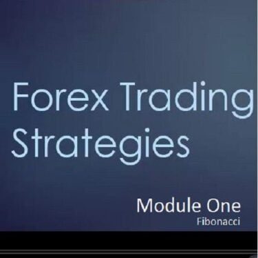Shadow trader forex