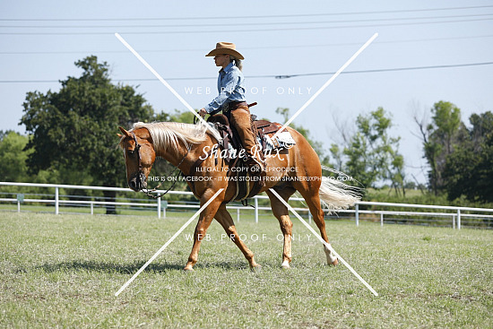 Fender Ranch | QTS MIDNITE MAGIC, 2023 APHA Double
