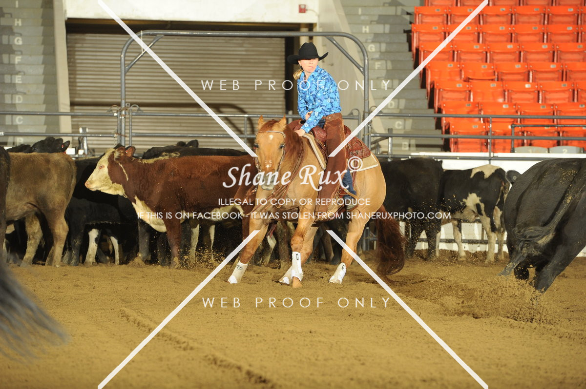 2014 All American Quarter Horse Congress - Reining - Proofs - http ...