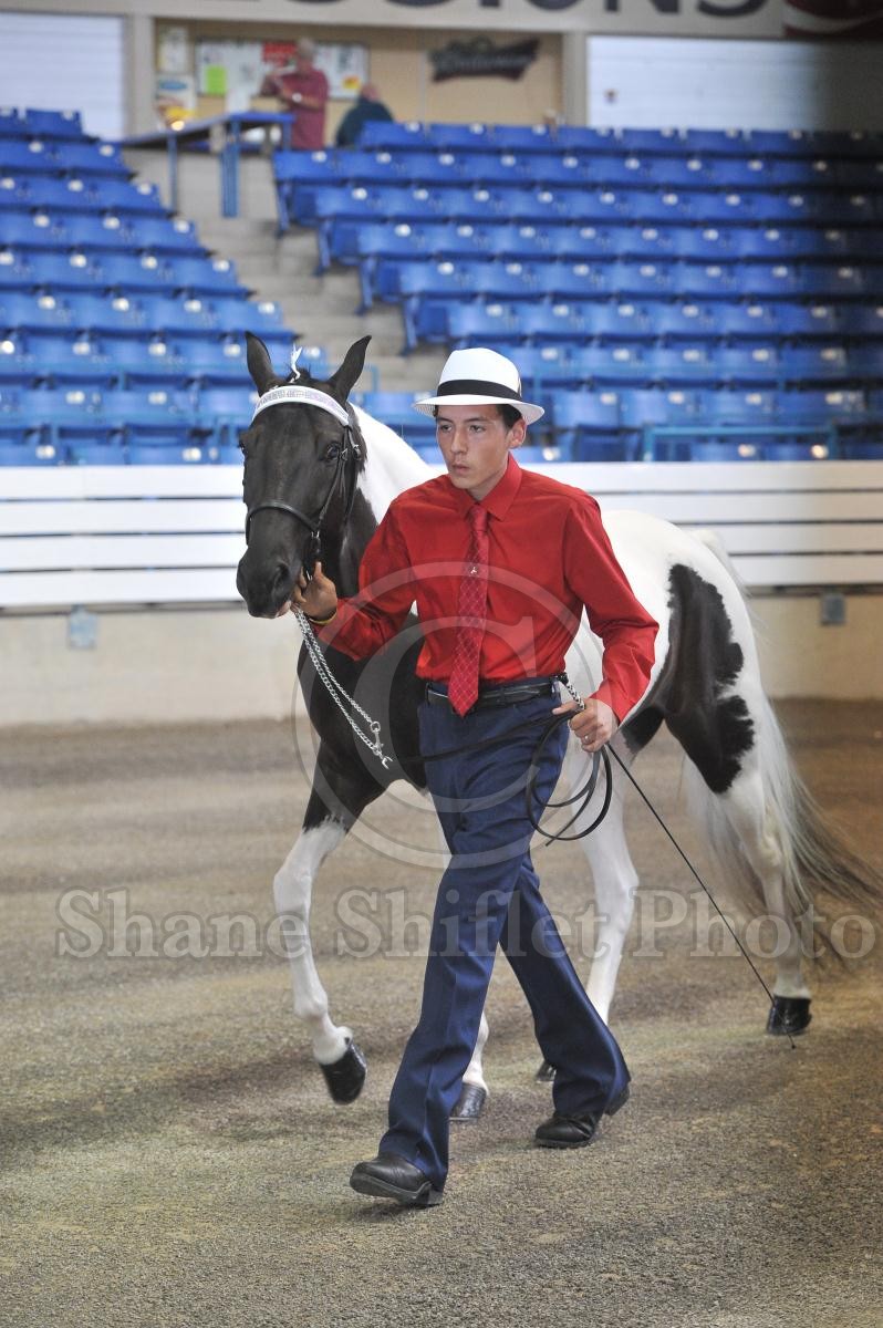 2016 TWH National Celebration - September 1st Thursday - 155 - OA ...