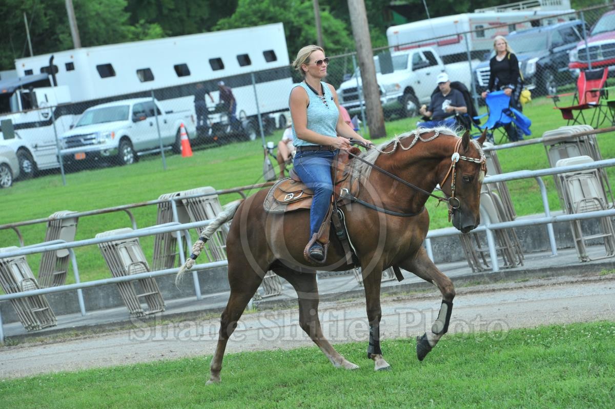 2018 Woodbury Lions Club Horse Show Horse Show Proofs 2018 Proofs
