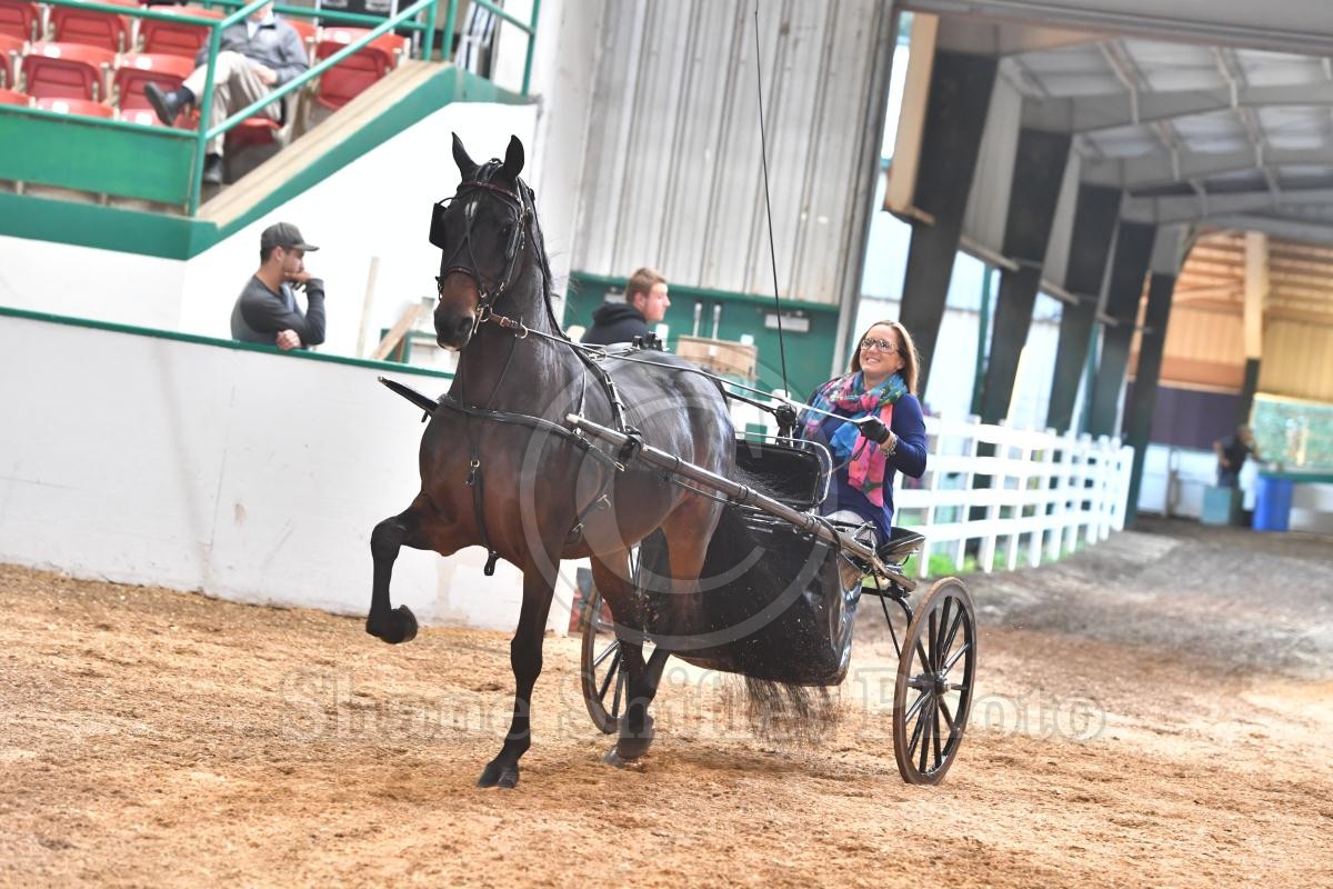 2019-nc-state-fair-horse-show-thursday-evening-horse-show-proofs