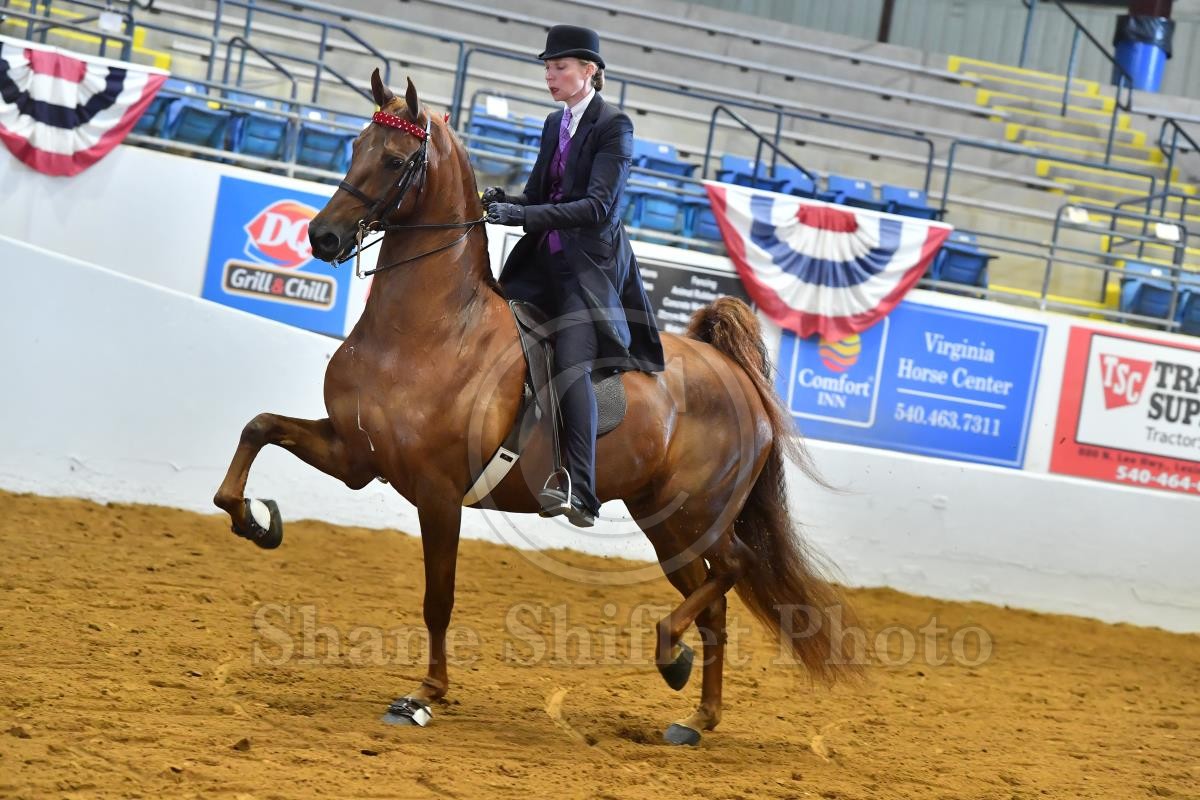 2021 Bonnie Blue Horse Show Horse Show Proofs 2021 Proofs Shane