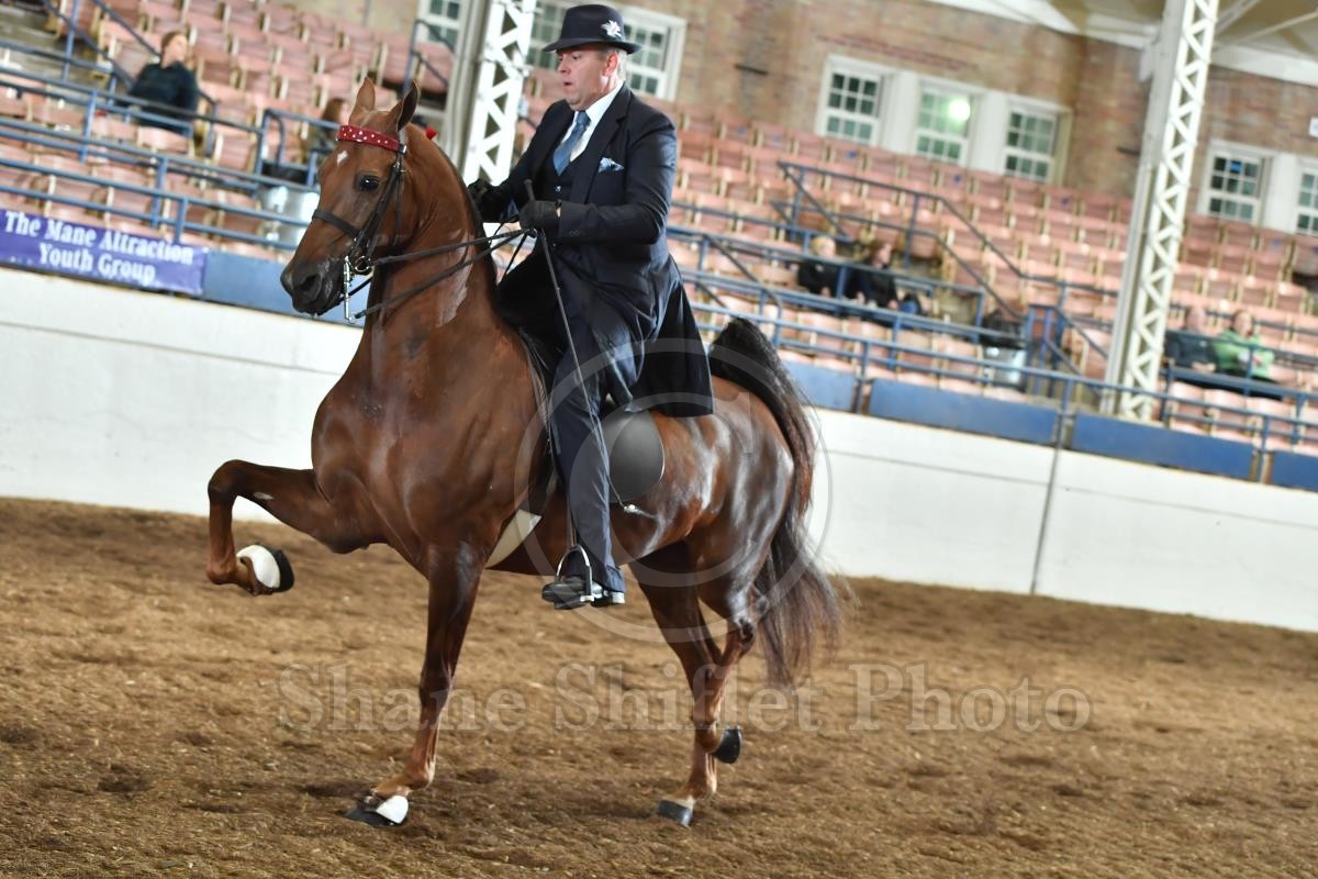 2021 Monarch National Championship Horse Show Proofs 2021 Proofs