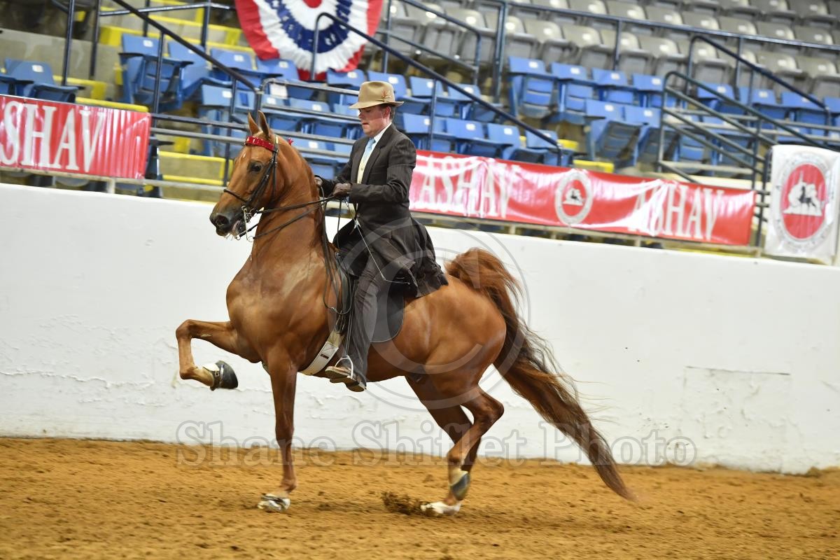 2022 ASHAV Horse Show Proofs 2022 Proofs Shane Shiflet Photography