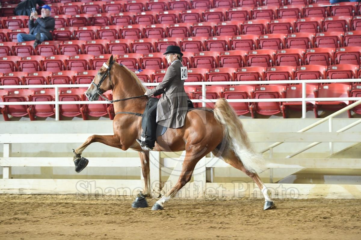 2022 NC Championship Walking Horse Show Horse Show Proofs 2022