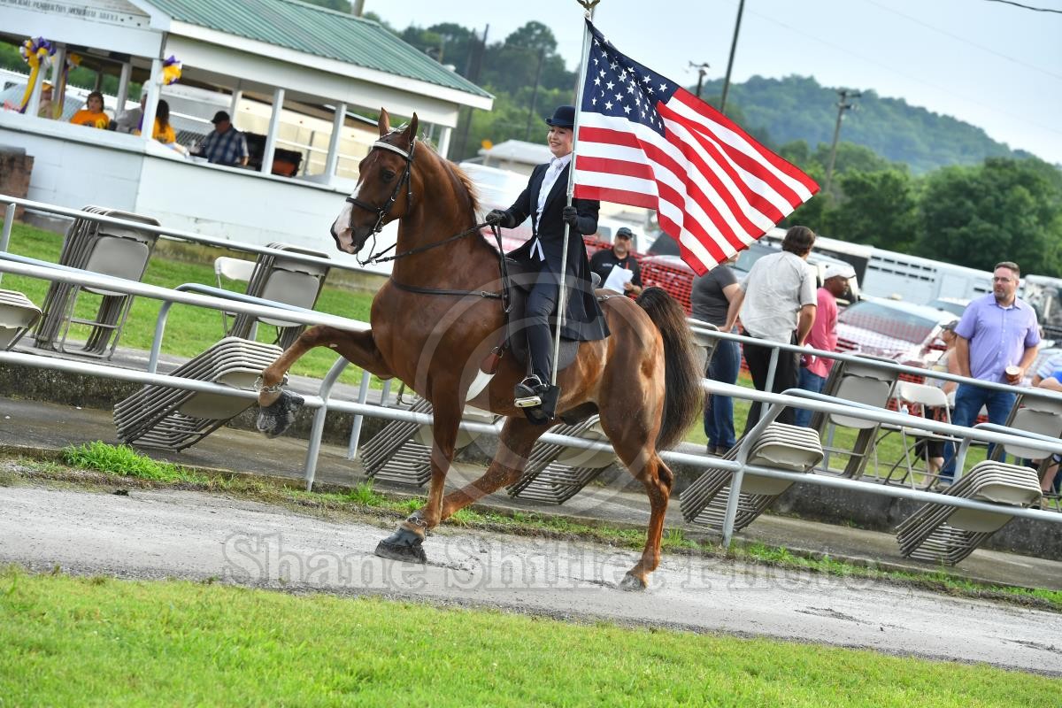 2023 Woodbury Lions Club - Horse Show Proofs - 2023 Proofs - Shane