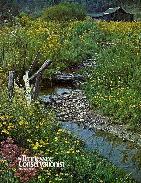 Tennessee Conservationist, May/June 1979