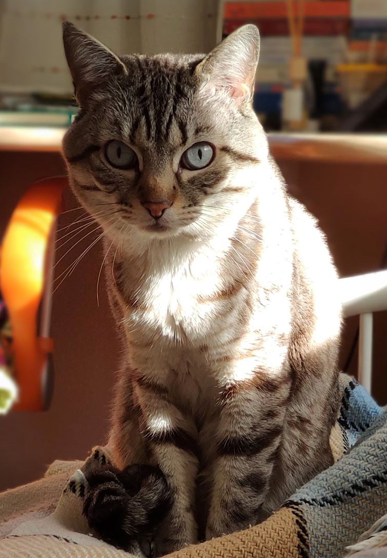 oscar picture