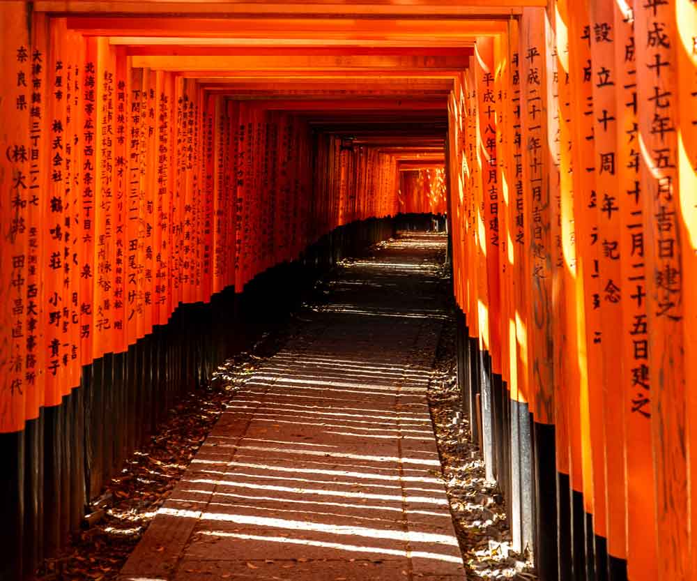 Fushimi Inari Shrine, Image by David Emrich via UnSplash