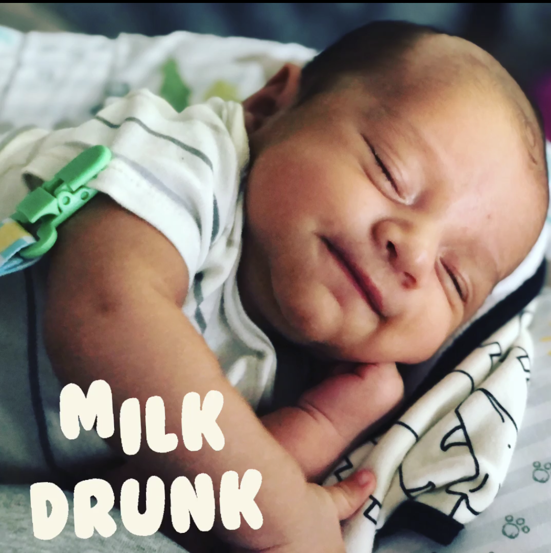 milk drunk