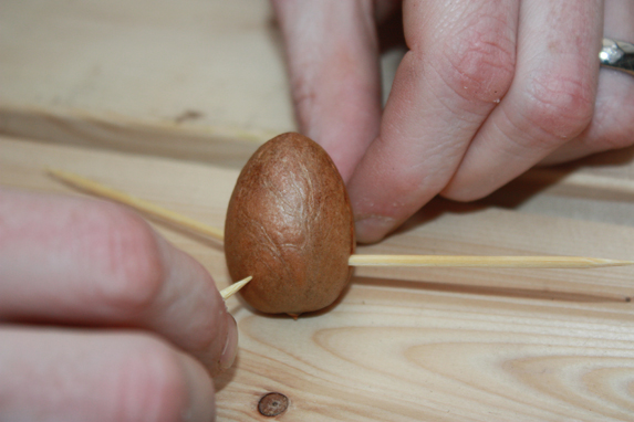 Pierce avocado pit with toothpicks
