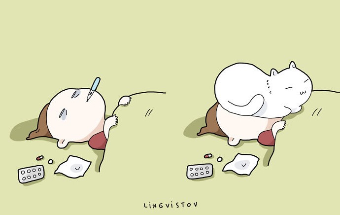 Draw with a cat in bed 