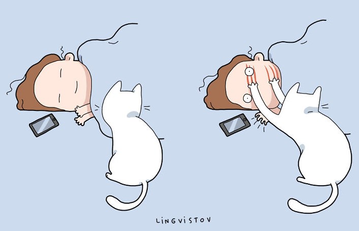 Cat as a alarm clock