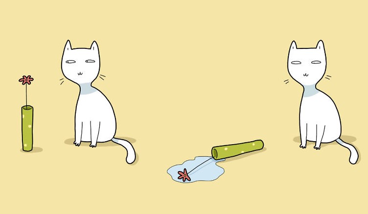 Cat trowing things down