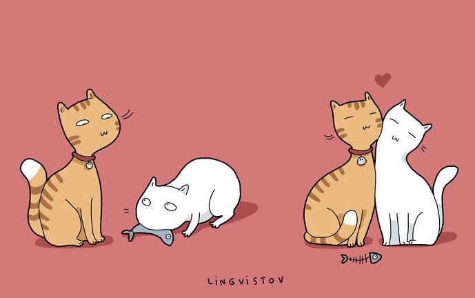 cats in love