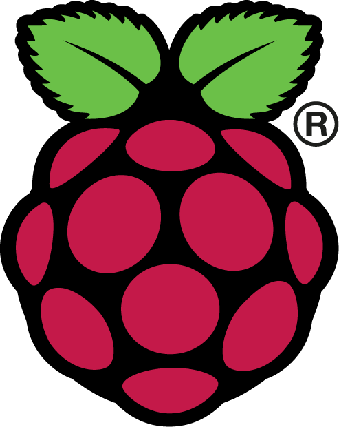 Rasberry Pi logo