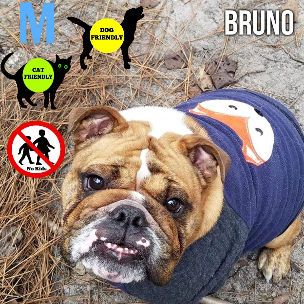 Bruno