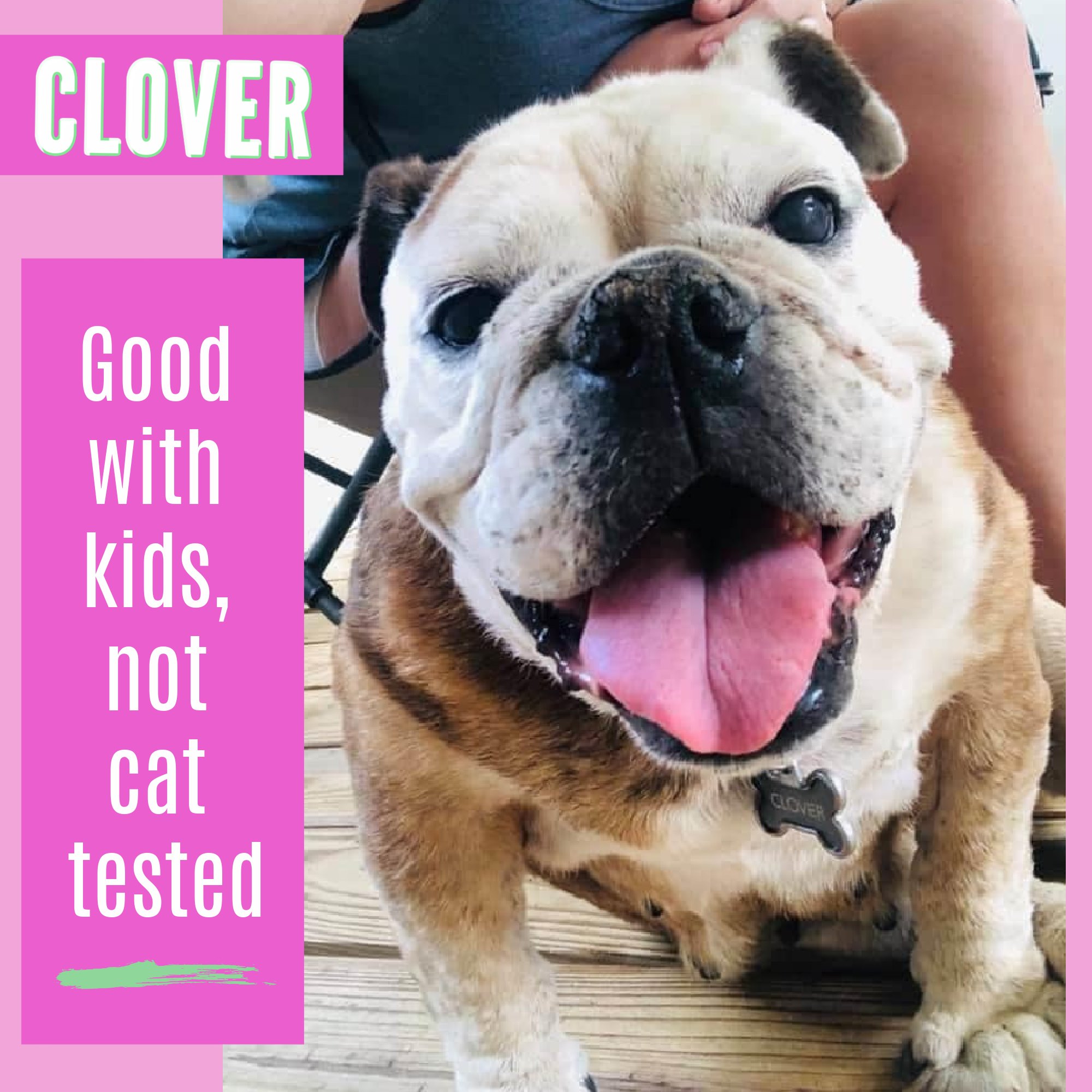 Clover