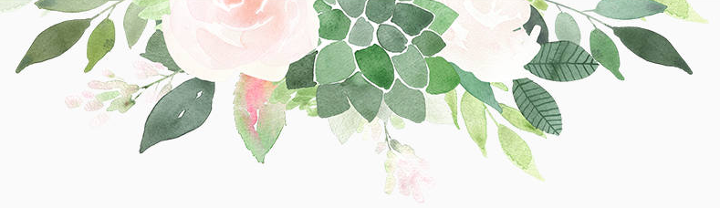 Succulent Top Border