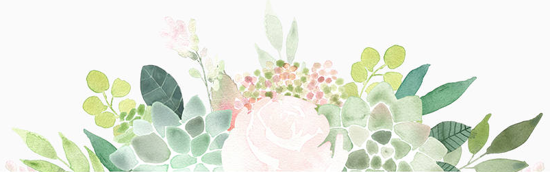 Succulent Bottom Border