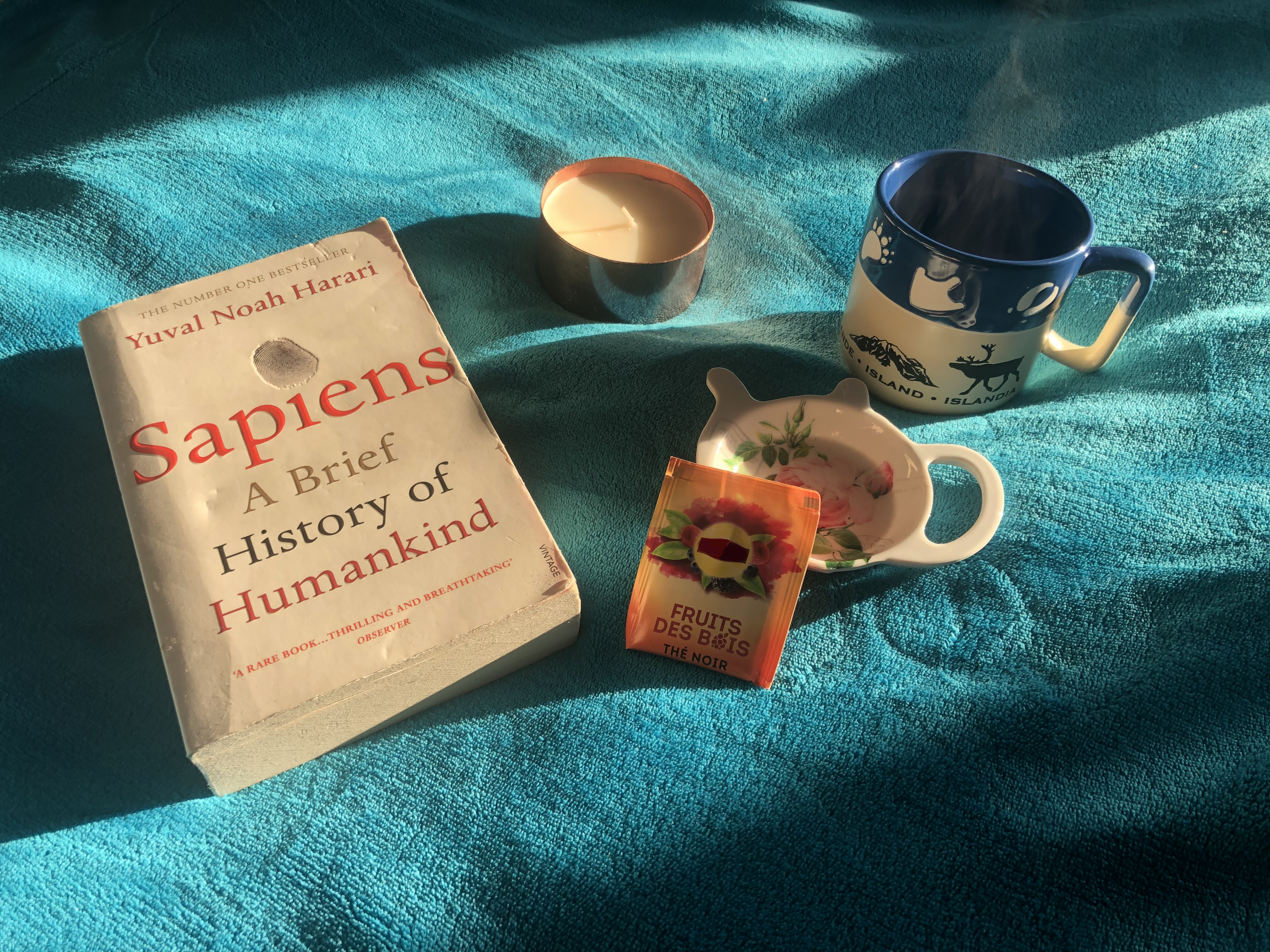 Sapiens book