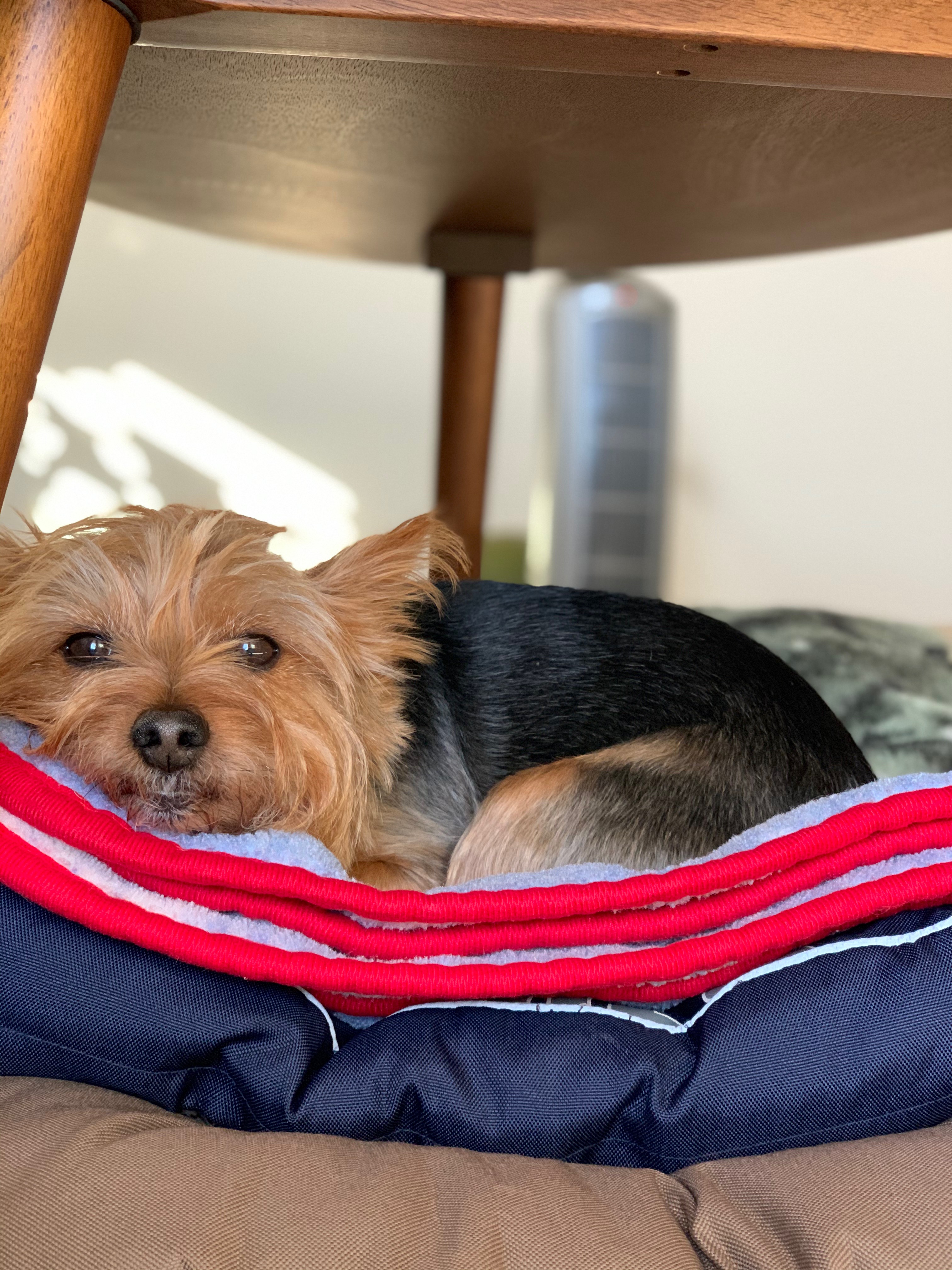 Cortes looking sweet