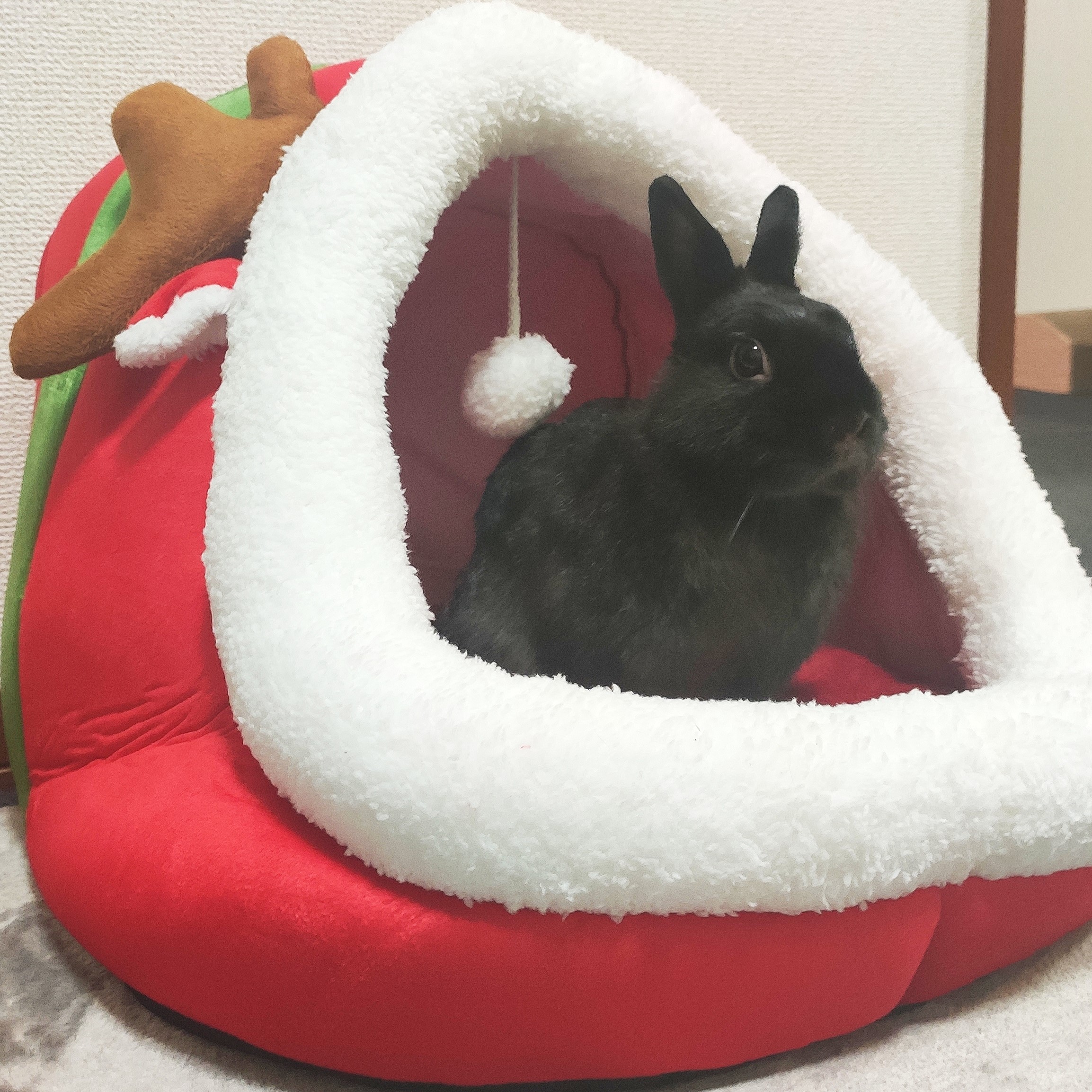 A very Christmas Moqueca