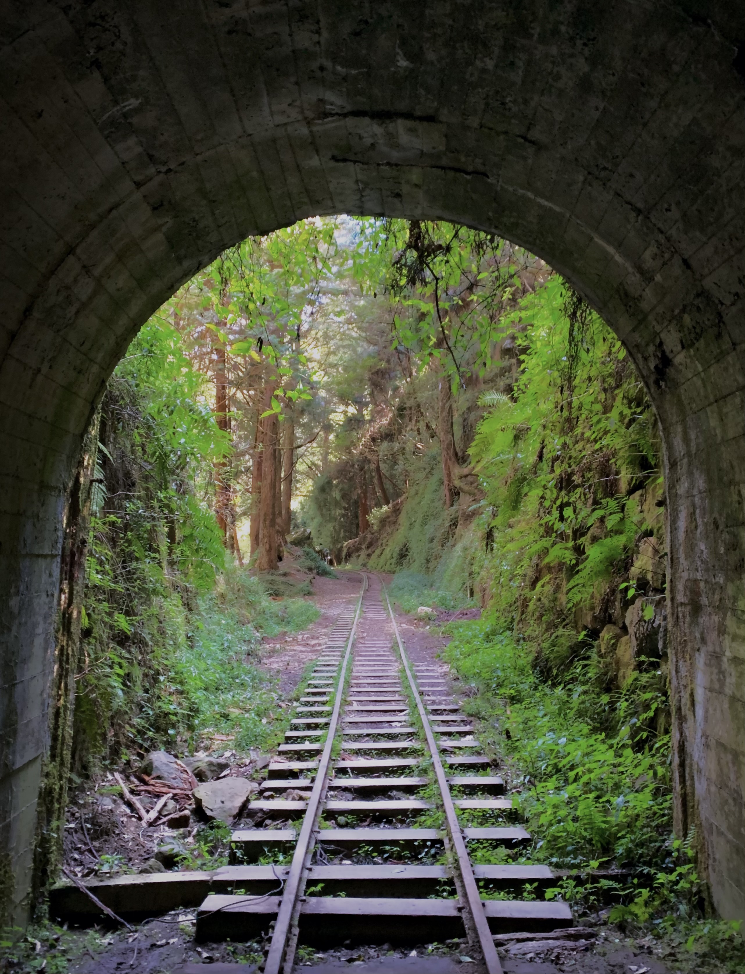 Alishan railway hike