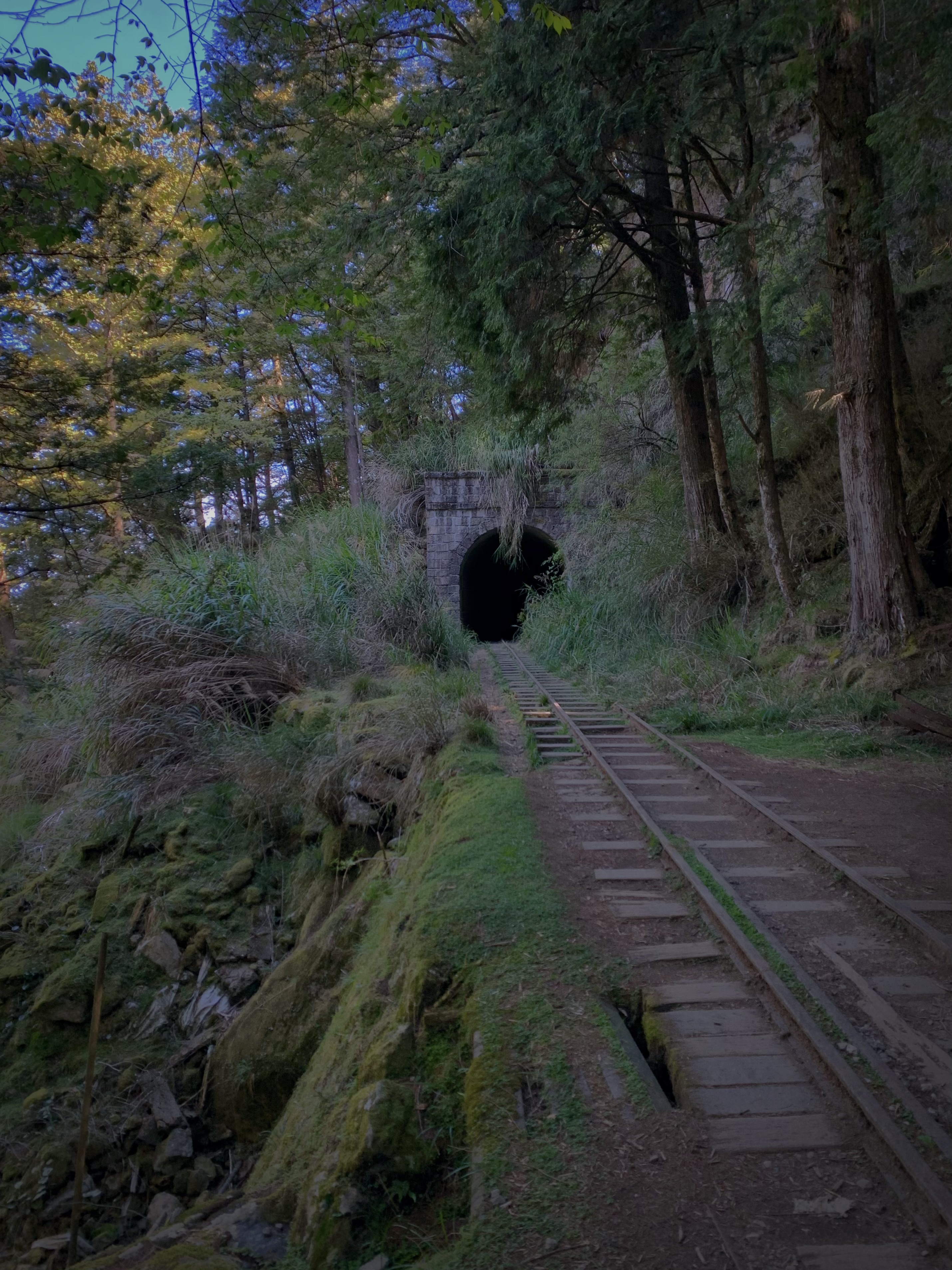 Alishan railway hike