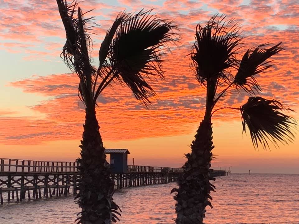 beach sunset with little palm trees